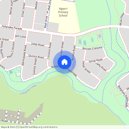 38 Butterscotch Esplanade, 3024, Manor Lakes