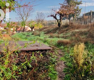 Appartement à louer 2 pièces • Saint-Paul-le-Jeune - Photo 2