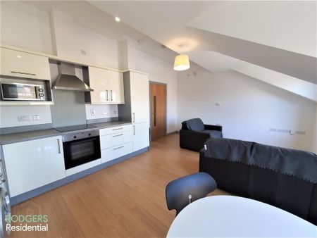 Apt 15, 108 Eglantine Avenue, Belfast, BT9 6EU - Photo 3