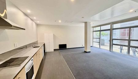 Central Mount Cook Apartment - Photo 3