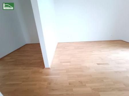 3-Zimmer-Gartenwohnung in idealer Lage - Wohntraum Karmeliterhof - Foto 5