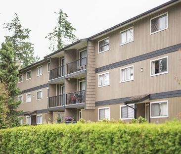 Cedar Green Apartments - Photo 1