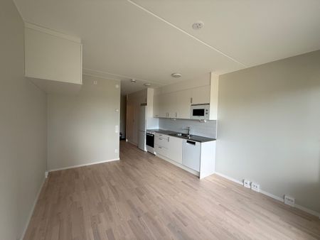 Klättergatan 9 – 1 rok (1303) - Foto 2