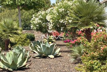 Comfortable 3 bedroom penthouse in Green Hills urbanizat