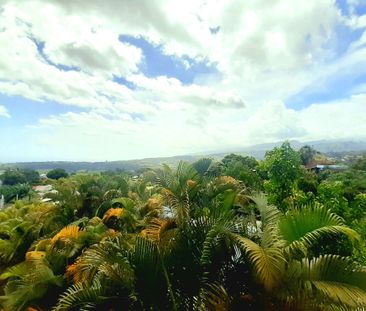 Location Maison 4 pièces 100m² LE TAMPON 97430 - Photo 5