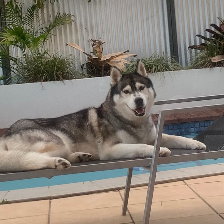 Mooloolaba - Photo 1