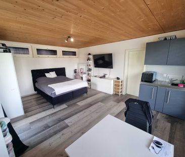 Rent a bright 1-room studio with balcony in Wolfwil - Foto 2