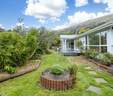 Sunny in Sunmer - Photo 3