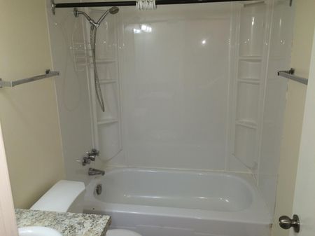 1 Br Condo For Rent In Mount Pleasant. - Photo 4