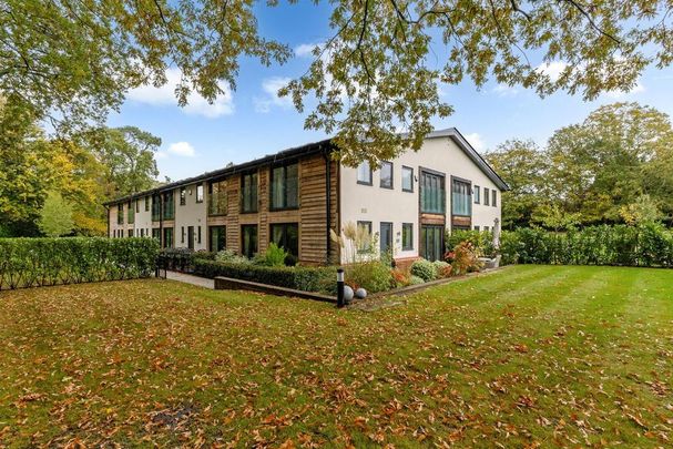 3 bedroom house to rent - Photo 1