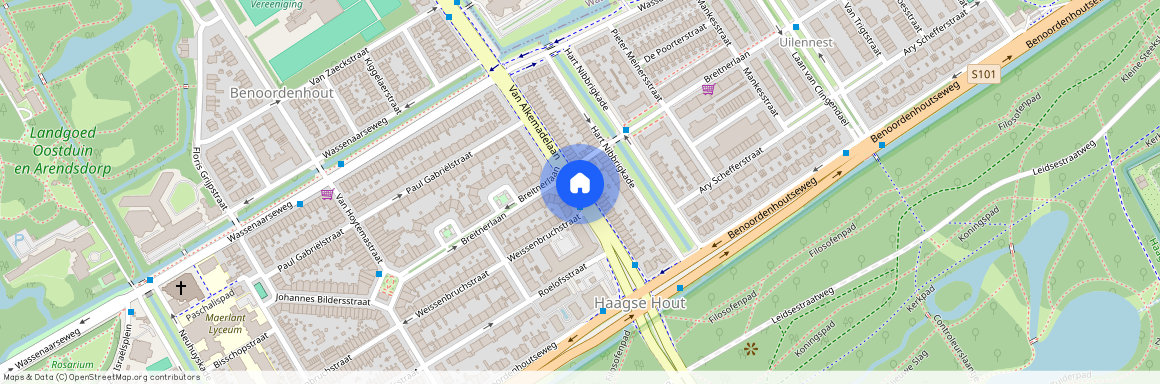 Van Alkemadelaan, 2597 AA, Den Haag