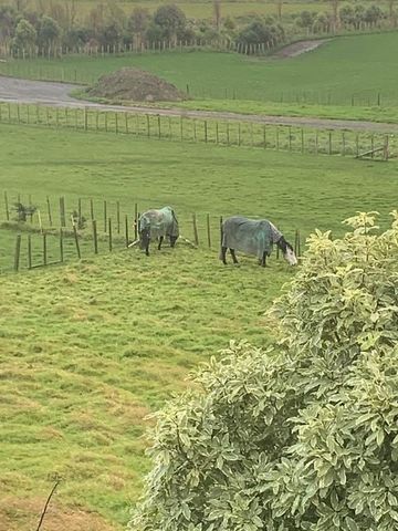 Smaller families welcome - Photo 4