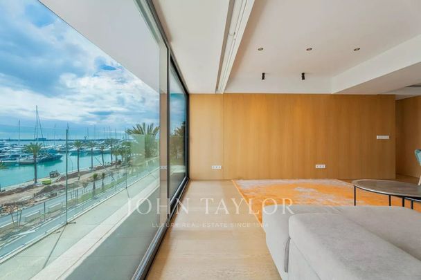 Palma de Mallorca, Balearic Islands 07001 - Photo 1