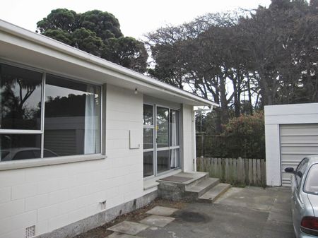 Cute Two Bedroom Unit in a Fantastic Location! - Photo 3