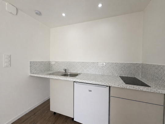 Location Appartement 1 pièce 21m² NANCY 54000 - Photo 1
