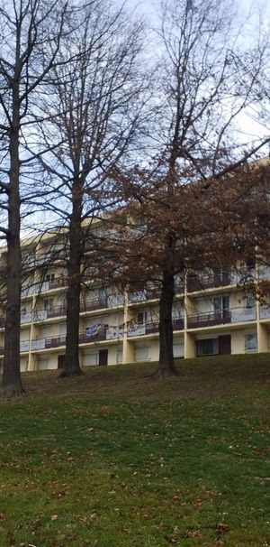 Appartement T3 à louer -secteur métare /la palle - Photo 1