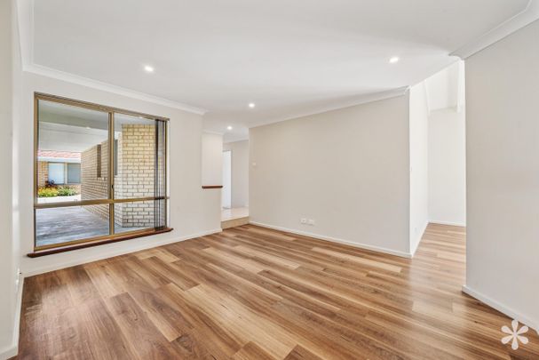 1B Pine Grove - Photo 1