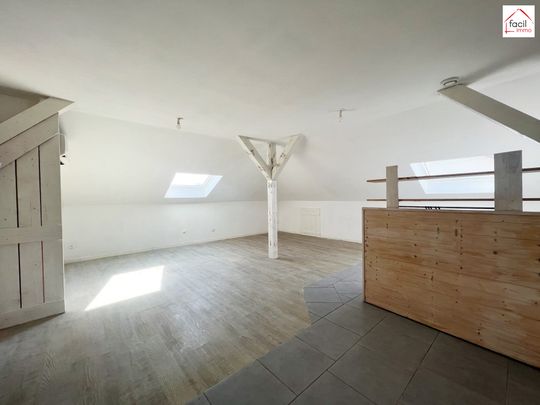 Location Appartement 2 pièces 49m² SARREBOURG 57400 - Photo 1