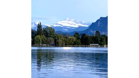 2½ Zimmer-Wohnung in Luzern, möbliert, auf Zeit - Foto 5