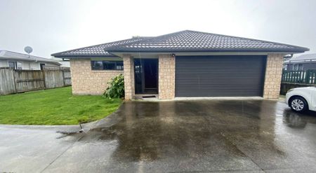 GREAT SIZED FAMILY HOME IN TE PUKE - Photo 4