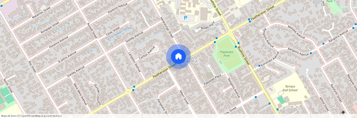 437 Featherston Street, Palmerston North Central, Palmerston North City