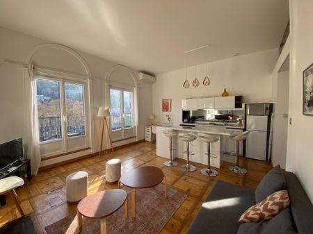 Location Appartement 2 pièces 42m² LYON 1er - Photo 4