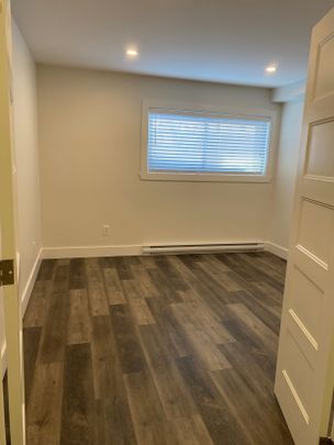 Lasalle 4 1/2 sous-sol rénové avec électroménagers - Photo 1