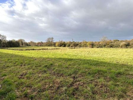 Willow Close, Alcester, B49 - Photo 2