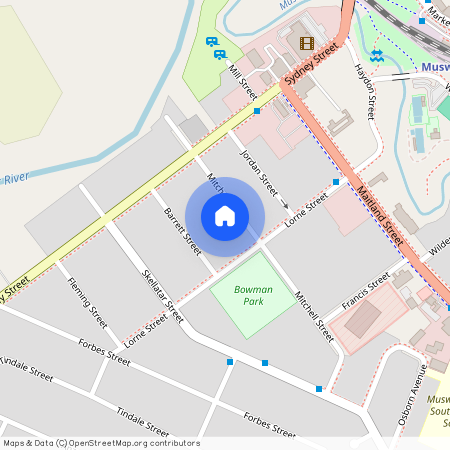 19 Mitchell St, NSW 2333, Muswellbrook