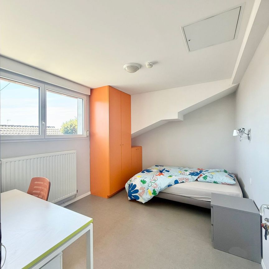 Location Appartement 1 pièce 11m² MITTELHAUSBERGEN 67206 - Photo 1