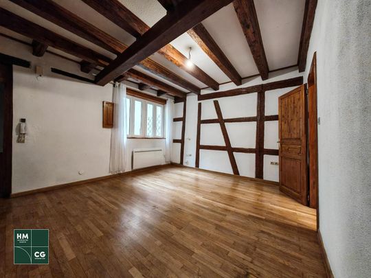 Location Appartement 3 pièces 89m² STRASBOURG 67000 - Photo 1