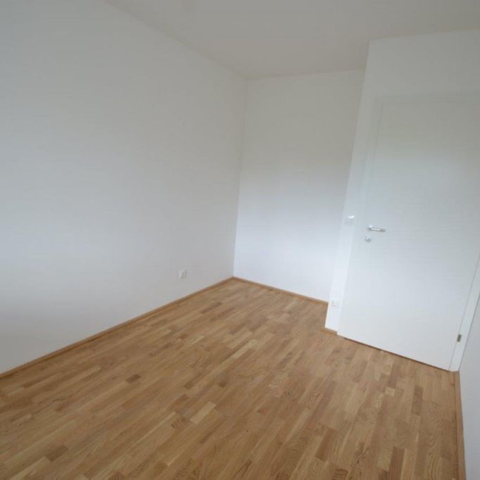 Annenviertel – 41 m² – 2 Zimmer-Wohnung – Studenten oder Singlewohnung - Foto 1