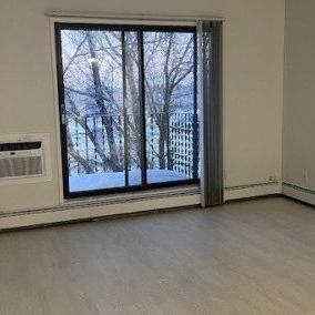 1 BDRM/1 BATH - 2318 ARLINGTON AVE - Available NOV 1 - Photo 1