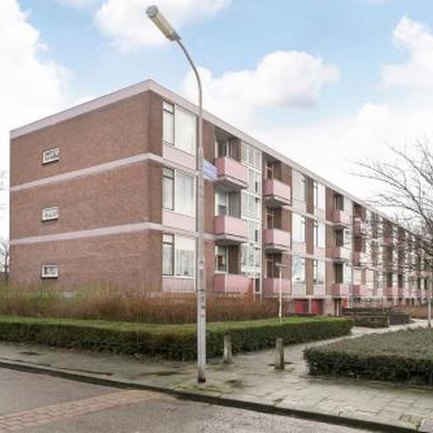 Domela Nieuwenhuisstraat 6535 TZ Nijmegen - Foto 1