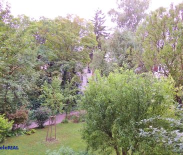 U4 Nähe - gemütliche 2 Zimmer Wohnung!! - Photo 6