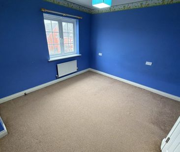 Wilson Drive - Photo 3