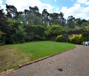 house to rent - Photo 2