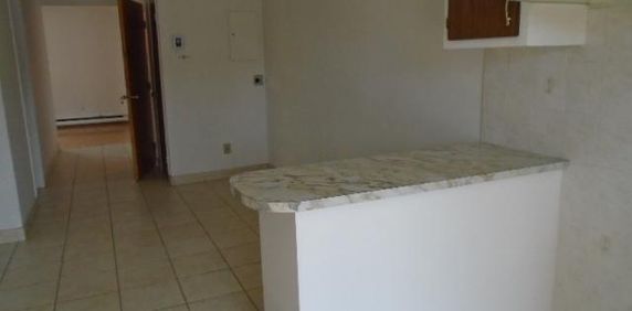 4 ½ rue Chambord Montréal - Photo 2