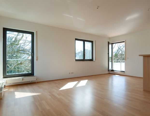 Blasewitz - großzügige 2-Zimmer-Wohnung mit direktem Bick auf die Elbwiesen - Foto 1