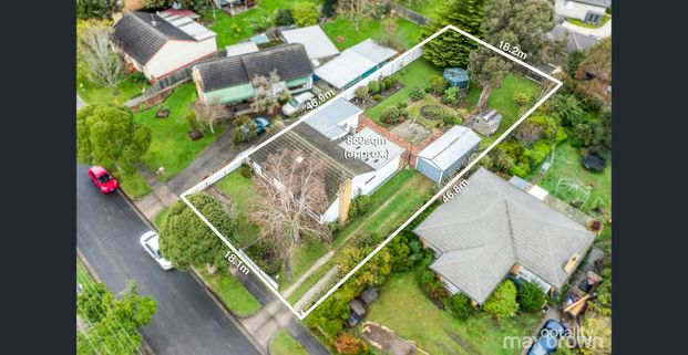 3 bedroom renovated and well-Presented Weatherboard Home - Photo 1