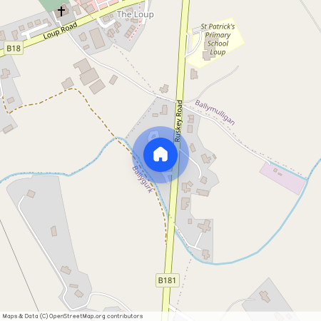 4 Birchwood Park, Loup, Magherafelt, BT45