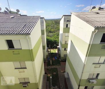 Imoveis - Em Pinheiro - Foto 1