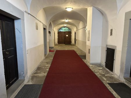 Sehr schöne und helle 3,5-Zimmer-Wohnung in wunderschönem Altbau in Hohenems - Foto 5