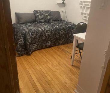 1 1/2 - Montréal (Le Plateau Mont-Royal) - 900 $/mois - Photo 3