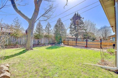 For Lease - 96 Allanford Road Unit# Bsmt, Toronto, Ontario - Photo 4