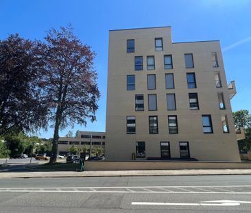 Moderne 1-Zimmer-Wohnung in Osnabrück zur Miete - Photo 2