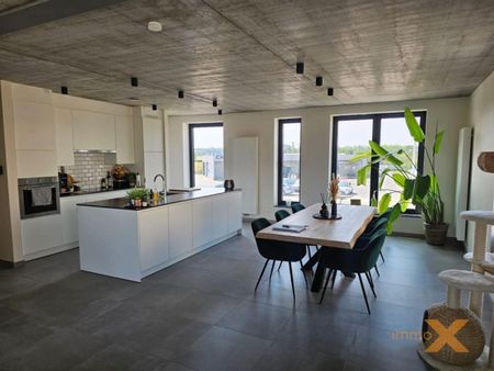 Duplex te huur in Lovendegem - foto 2