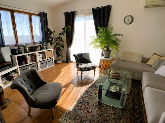 Maison à louer meublée ou non meublée T3 - Blois - 1 à 2 chbs, Vue sur la Loire, jardin/terrasse - Photo 1