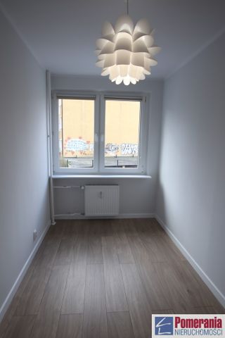 Jasne Błonia - Zdjęcie 2