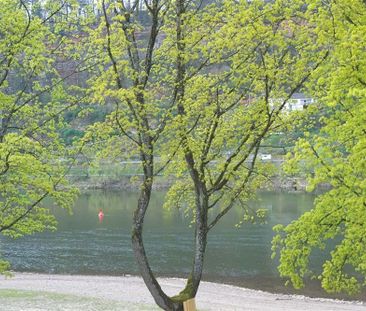 Neuwertige 2 ZKB mit Einbauküche in direkter Mosellage! - Photo 2